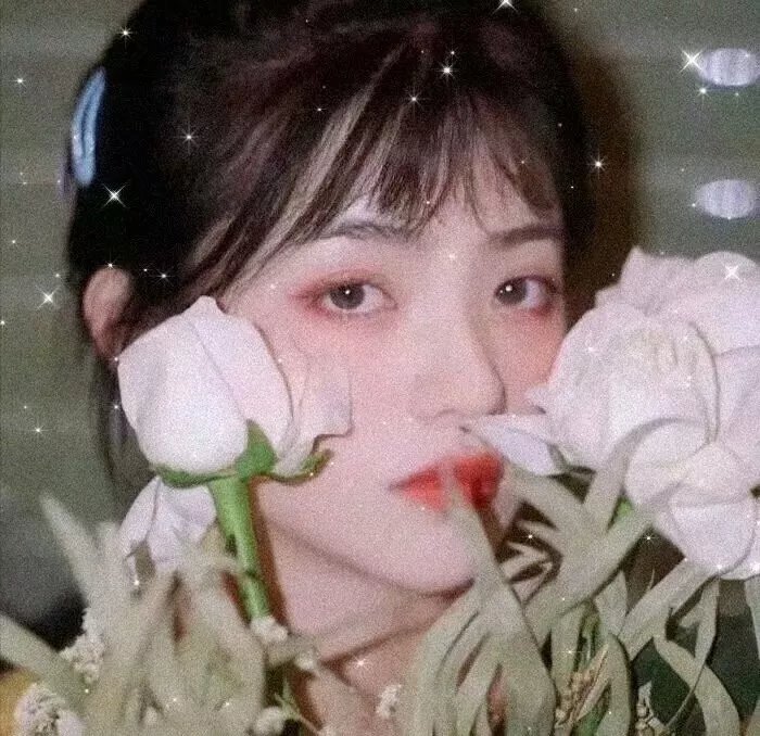 潮爆家族