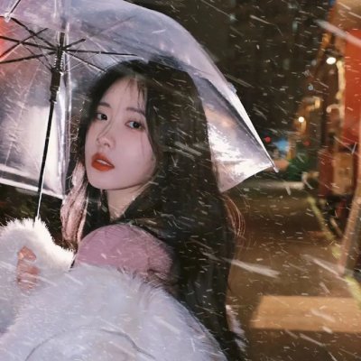 鲅鱼恋上猫